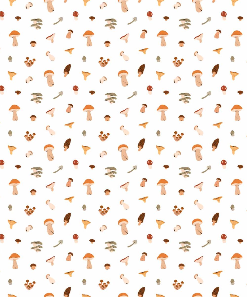 leśne_grzyby_w_minimalistycznym_stylu