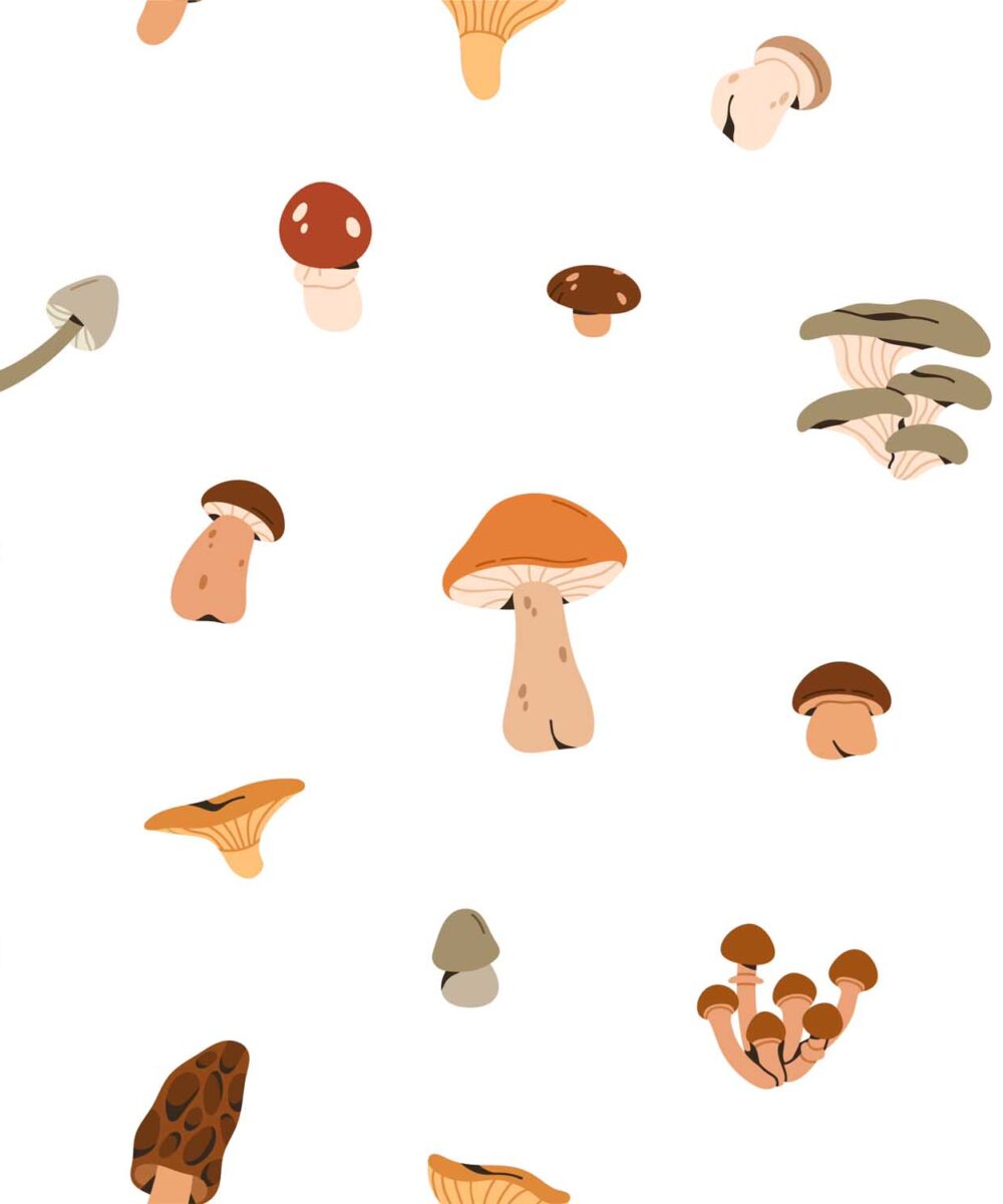 leśne_grzyby_w_minimalistycznym_stylu